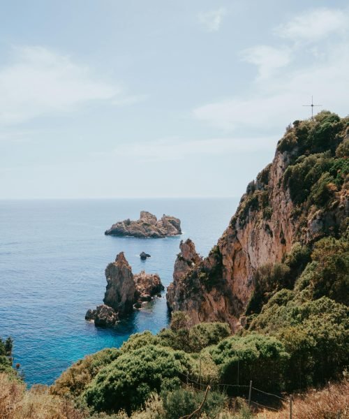 pexels-kokorevas-15658159